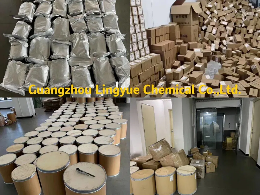 Europe, Brasil, USA, Australia...., 99.9% Pure Lidocaina/Lidocain/Lido HCl Powder Chemical Pharmaceutical Raw Material Safe Clearence Lidocaine